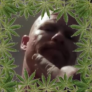 Meet your Posher, Micah